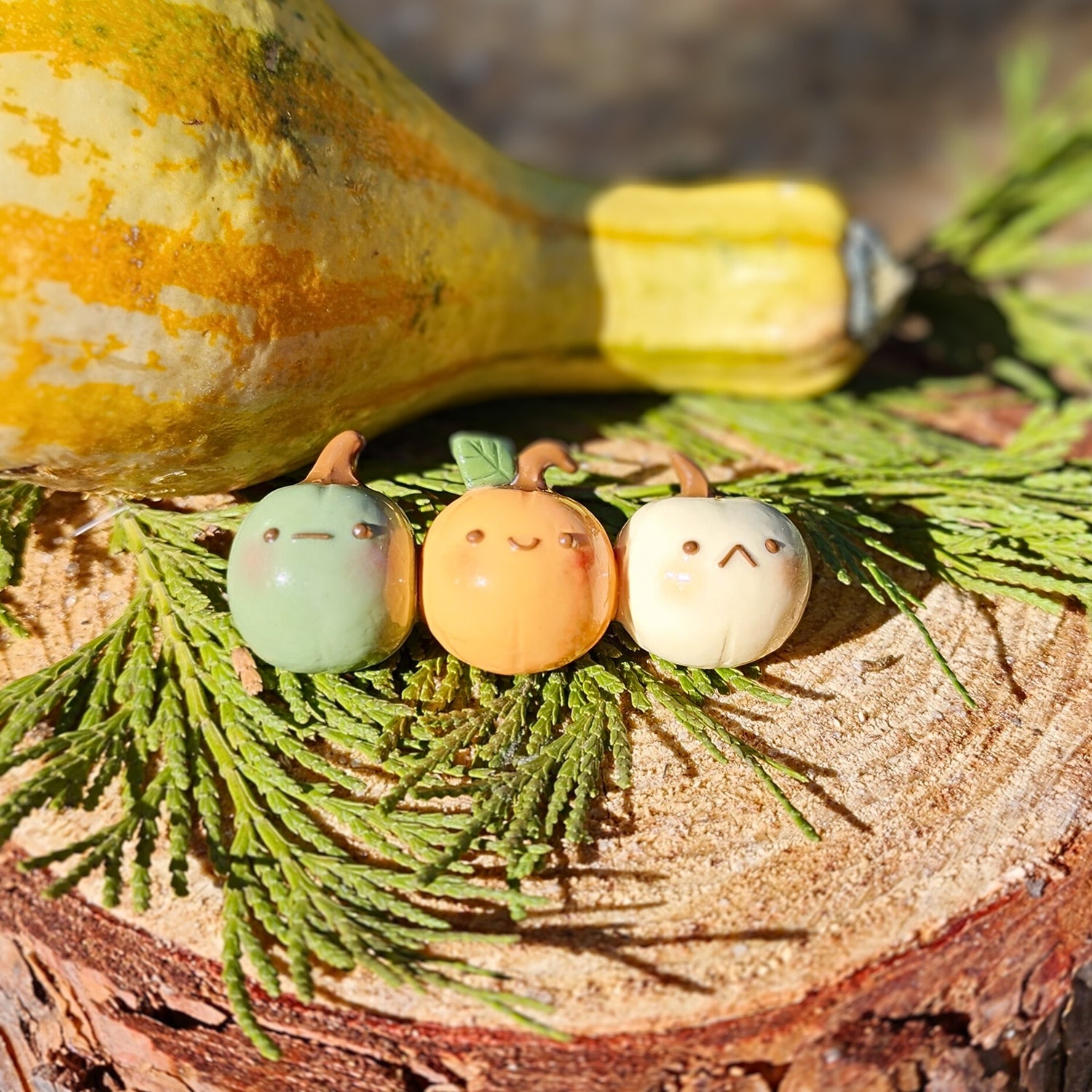 Pumpkin Trio